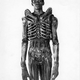 Illustration for article titled Behind-The-Scenes snaps from Ridley Scotts emAlien/em reveal the real Xenomorph